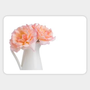 Fresh bunch of pink roses flowers in the jar, isolated on white background Sticker